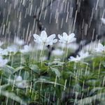 پیش‌بینی بارش تگرگ در ۲ استان و هشدار آب‌گرفتگی معابر/ فردا آسمان اغلب شهرها بارانی است